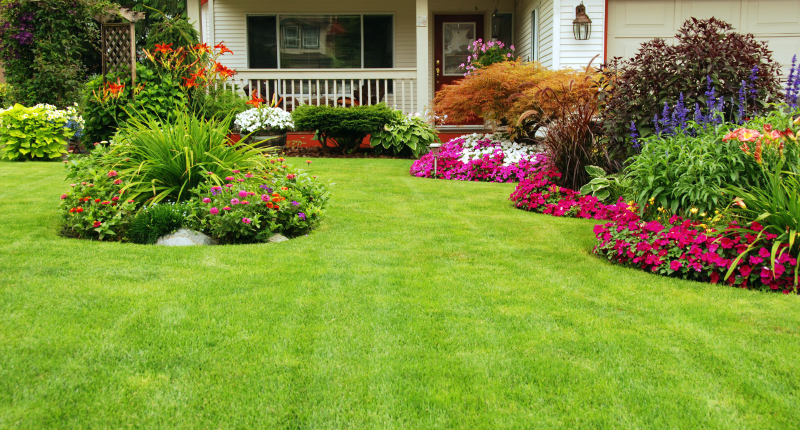 Jardin et extérieur